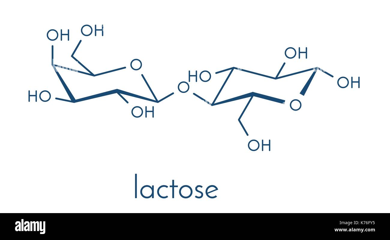Molécule de sucre lait lactose. formule topologique. Illustration de Vecteur