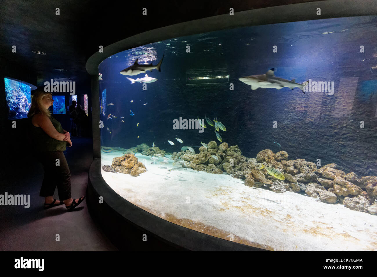 Les visiteurs du zoo, aquarium à Plock Plock Pologne Banque D'Images