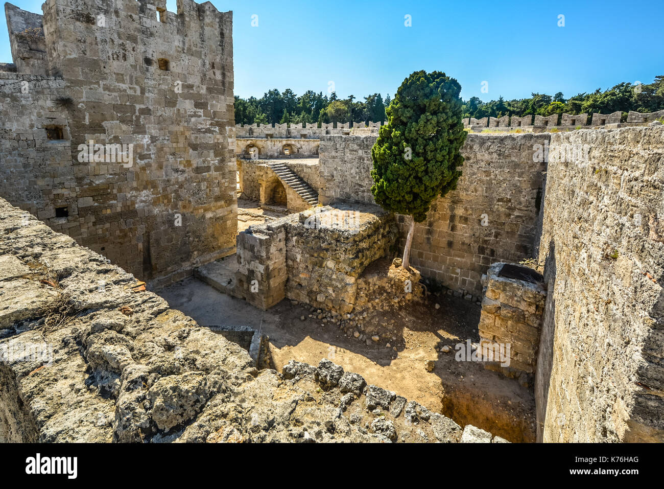 Un errant, feral cat se dresse au milieu des ruines de château de Rhodes à Rhodes, Grèce sur une journée ensoleillée Banque D'Images