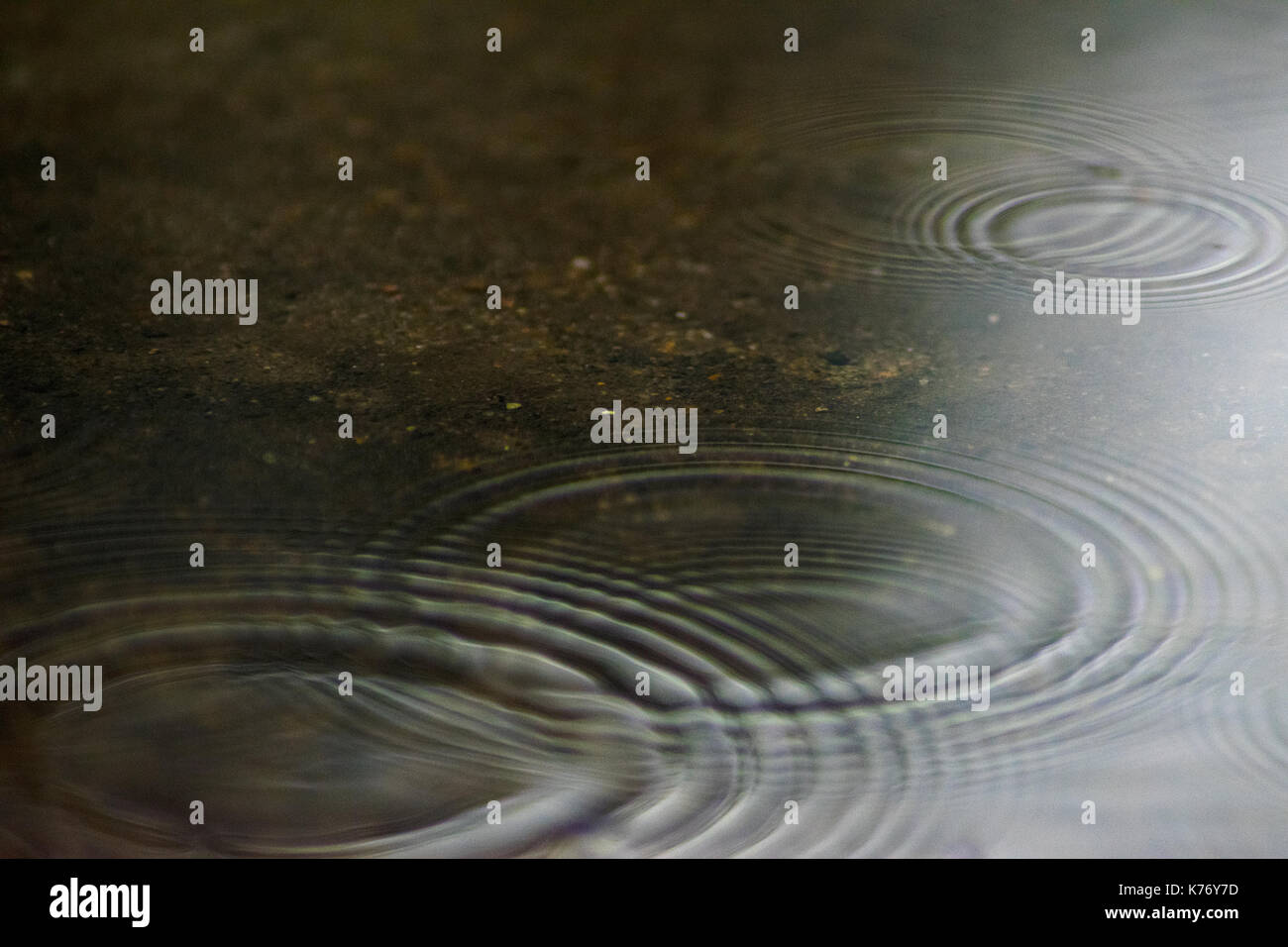 Photos macro de l'eau ondule dans une petite flaque. Banque D'Images