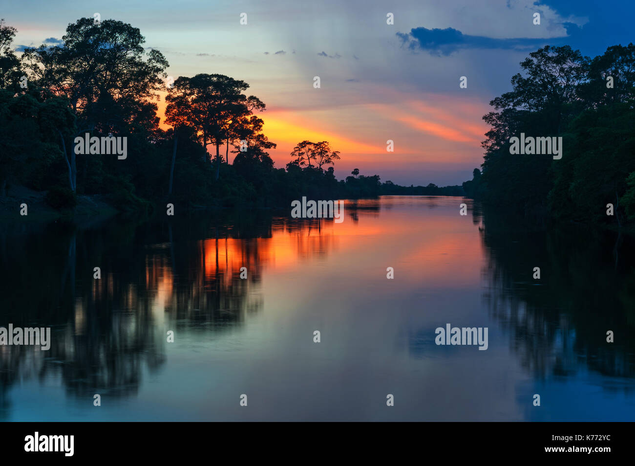 Coucher du soleil le long de l'Amazone. Les affluents de l'amazone traverse le pays de la Guyane, l'Équateur, le Pérou, le Brésil, la Colombie, le Venezuela et la Bolivie. Banque D'Images