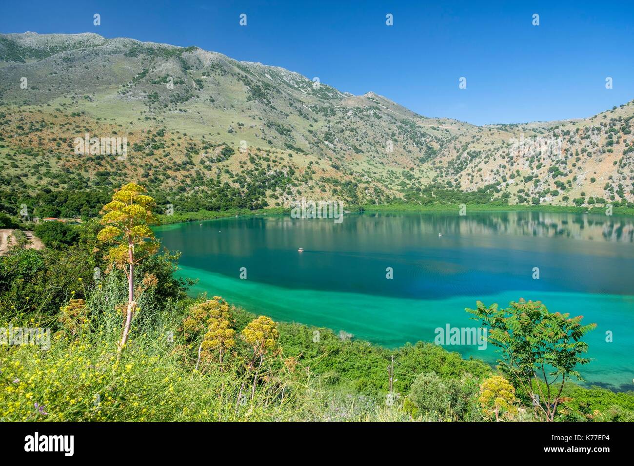 Geece, Crète, district d'Hania, environs de Georgioupolis, le Lac de Kournas est le seul lac d'eau douce en Crète Banque D'Images
