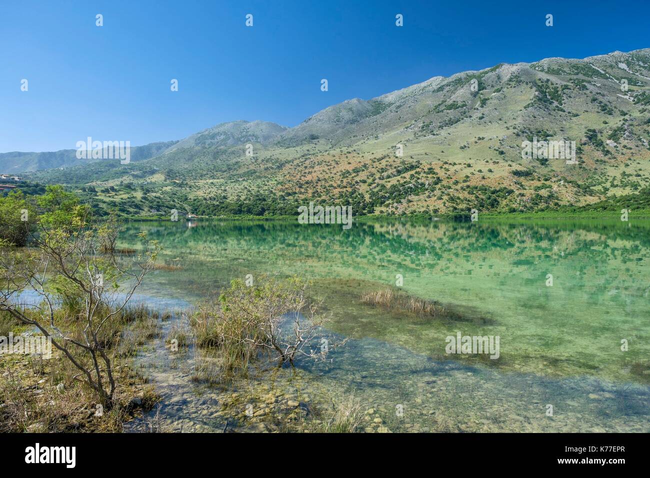 Geece, Crète, district d'Hania, environs de Georgioupolis, le Lac de Kournas est le seul lac d'eau douce en Crète Banque D'Images