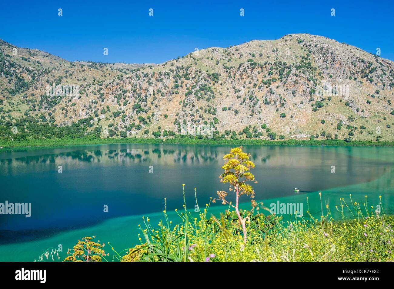 Geece, Crète, district d'Hania, environs de Georgioupolis, le Lac de Kournas est le seul lac d'eau douce en Crète Banque D'Images