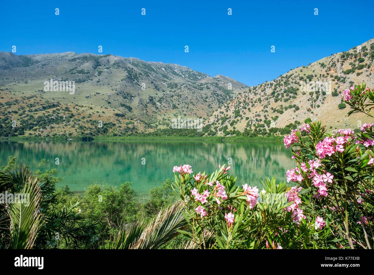 Geece, Crète, district d'Hania, environs de Georgioupolis, le Lac de Kournas est le seul lac d'eau douce en Crète Banque D'Images