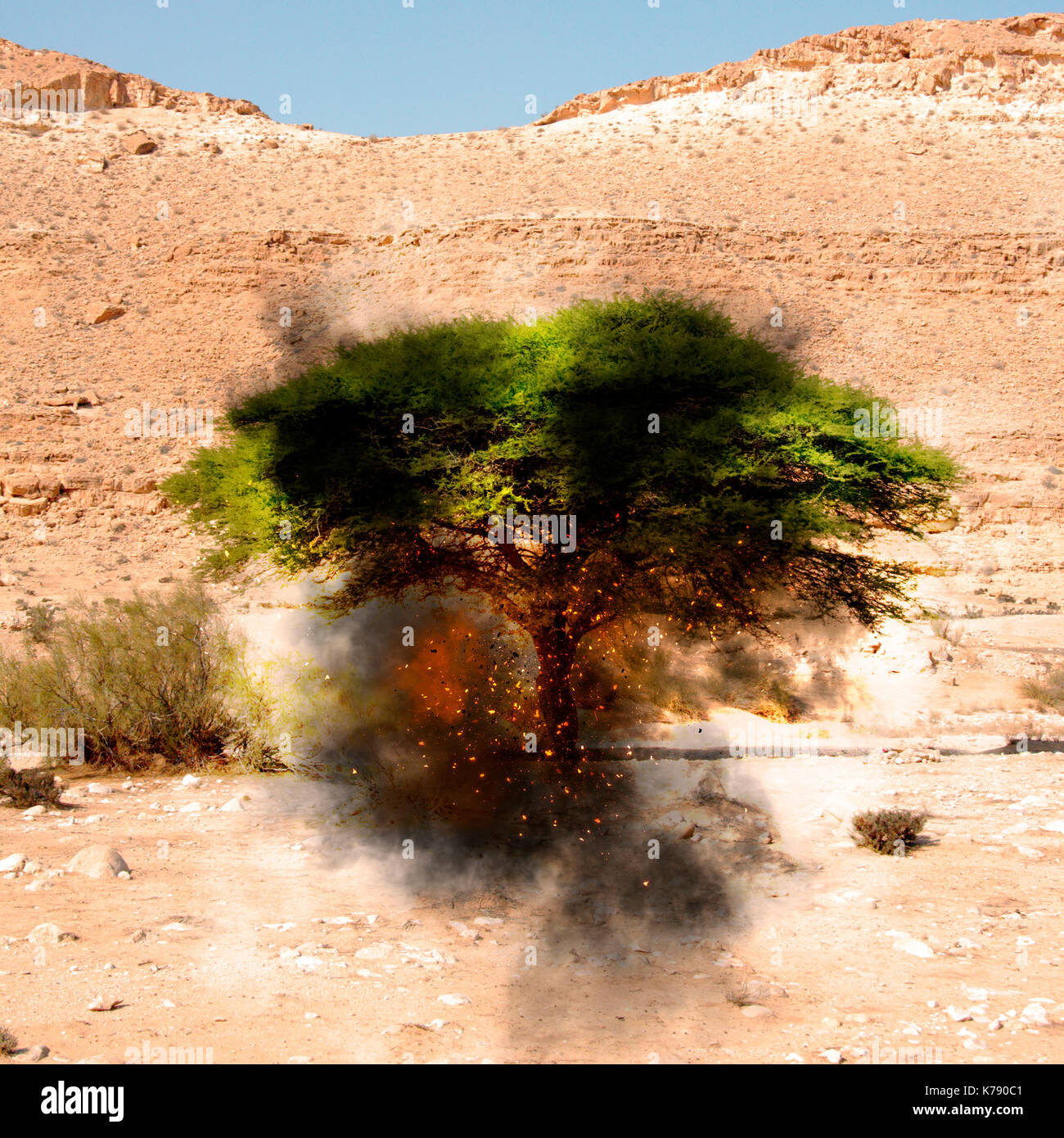Amélioration de l'image numérique d'un buisson ardent de la Bible (livre de l'exode [3:1-4, 17]) dans le désert Banque D'Images