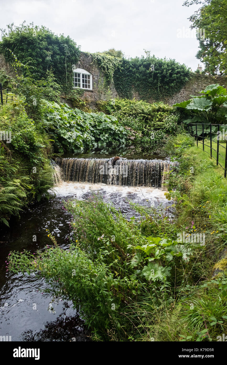 Ruisseau qui traverse des bois isolés en Ecosse Banque D'Images