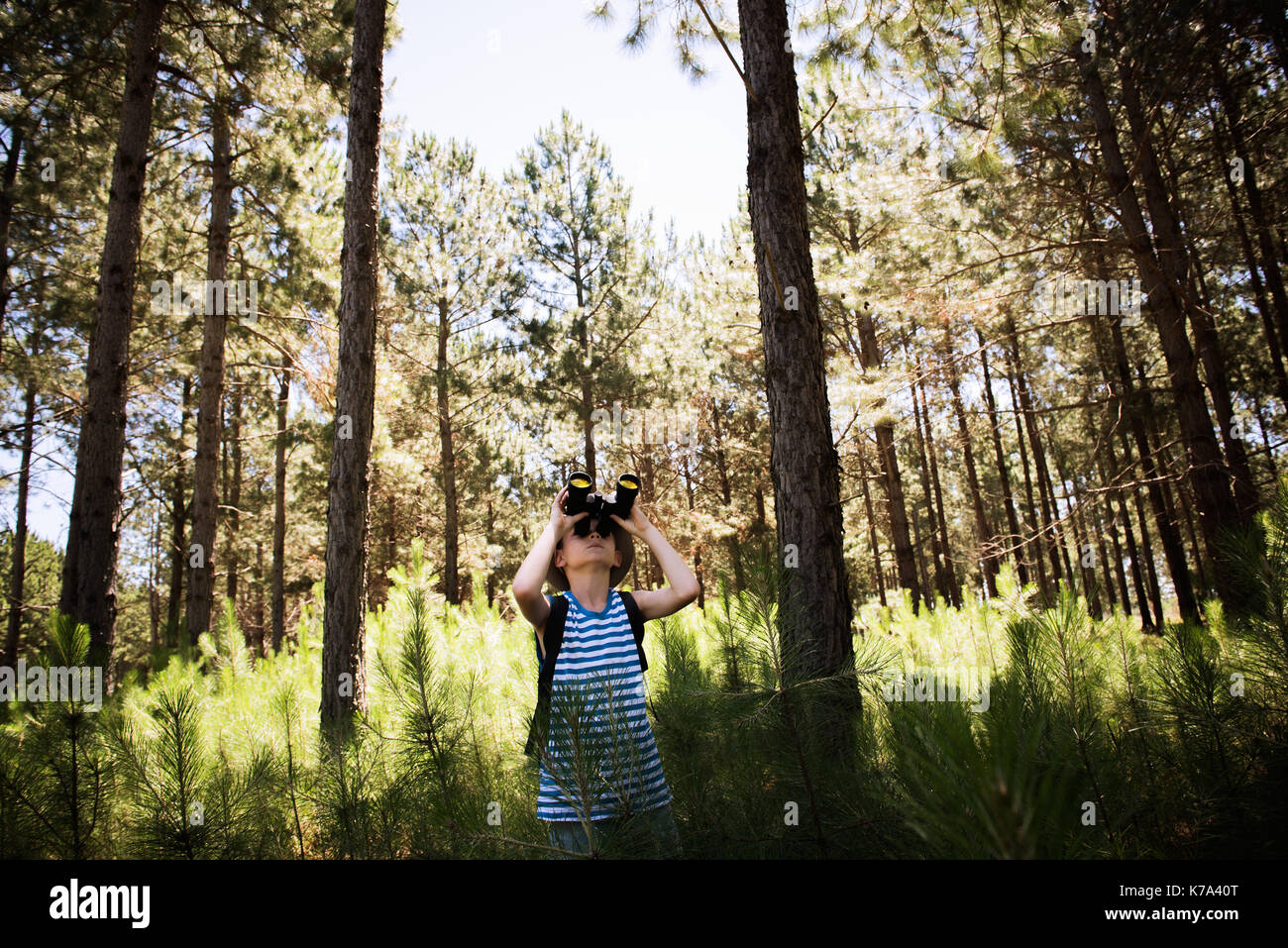 Boy looking through binoculars in woods Banque D'Images