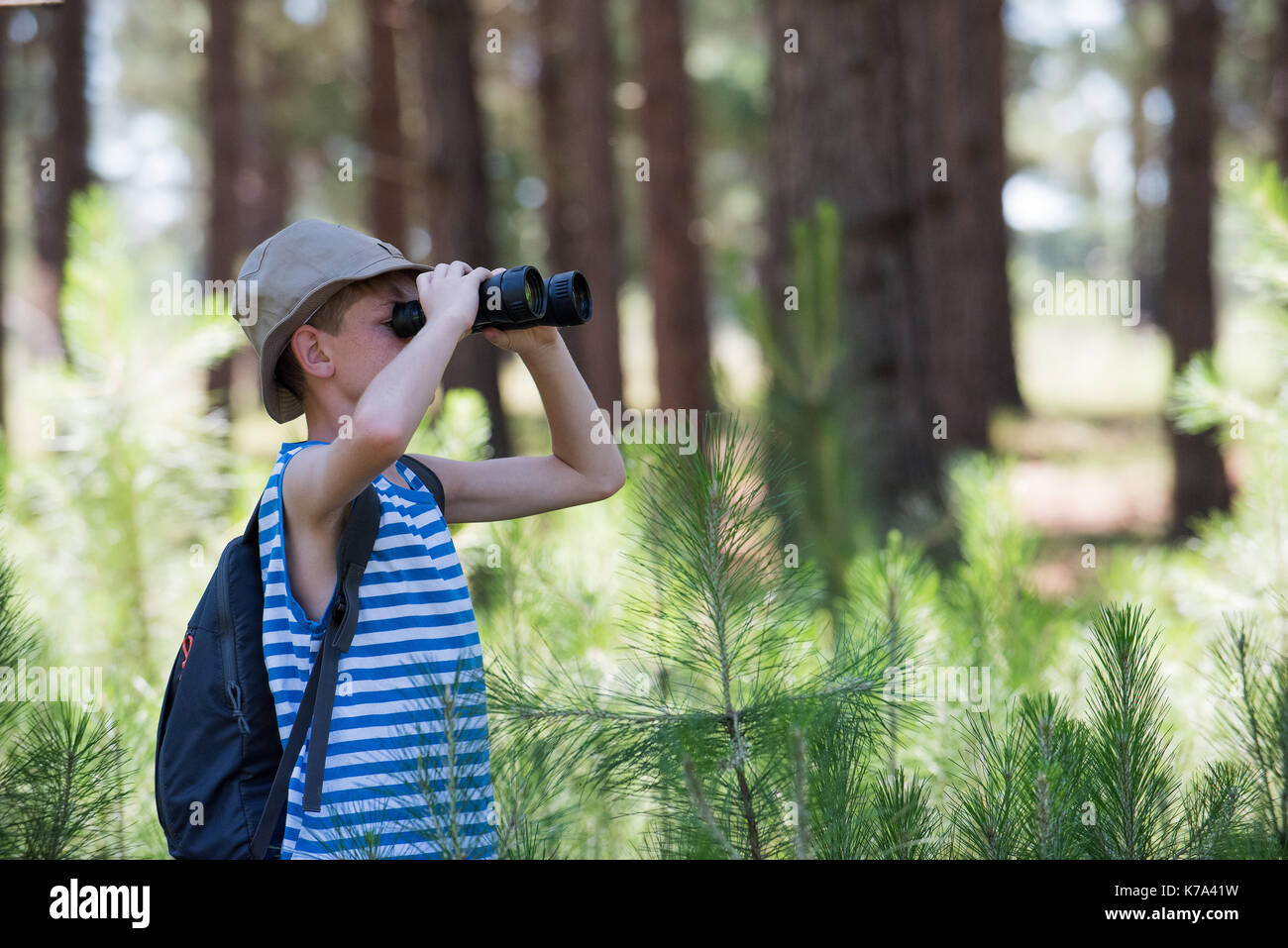 Boy looking through binoculars in woods Banque D'Images