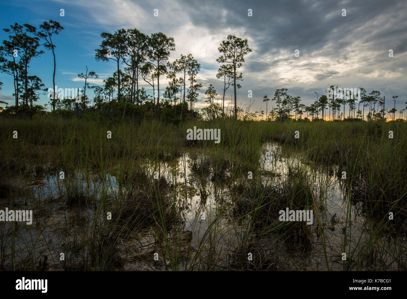 Coucher du soleil Everglades National Park Lake reflections Banque D'Images