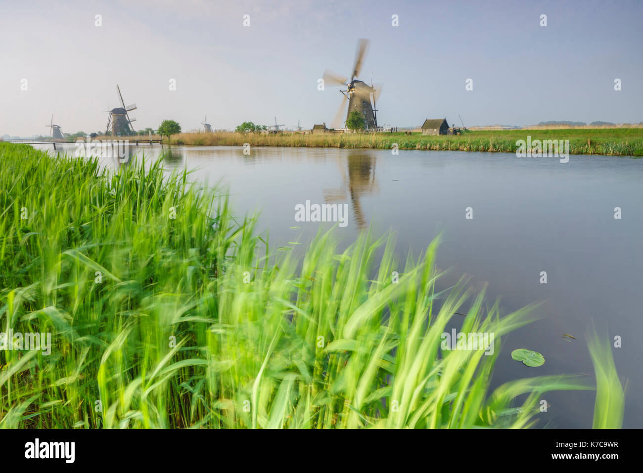 Les moulins à vent les trames de l'herbe verte reflétée dans le canal kinderdijk rotterdam Pays-Bas Hollande du Sud Europe Banque D'Images