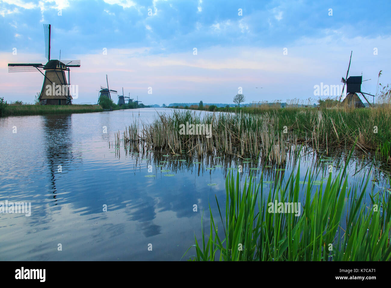 Les moulins à vent les trames de l'herbe verte reflétée dans le canal à l'aube kinderdijk rotterdam Pays-Bas Hollande du Sud Europe Banque D'Images