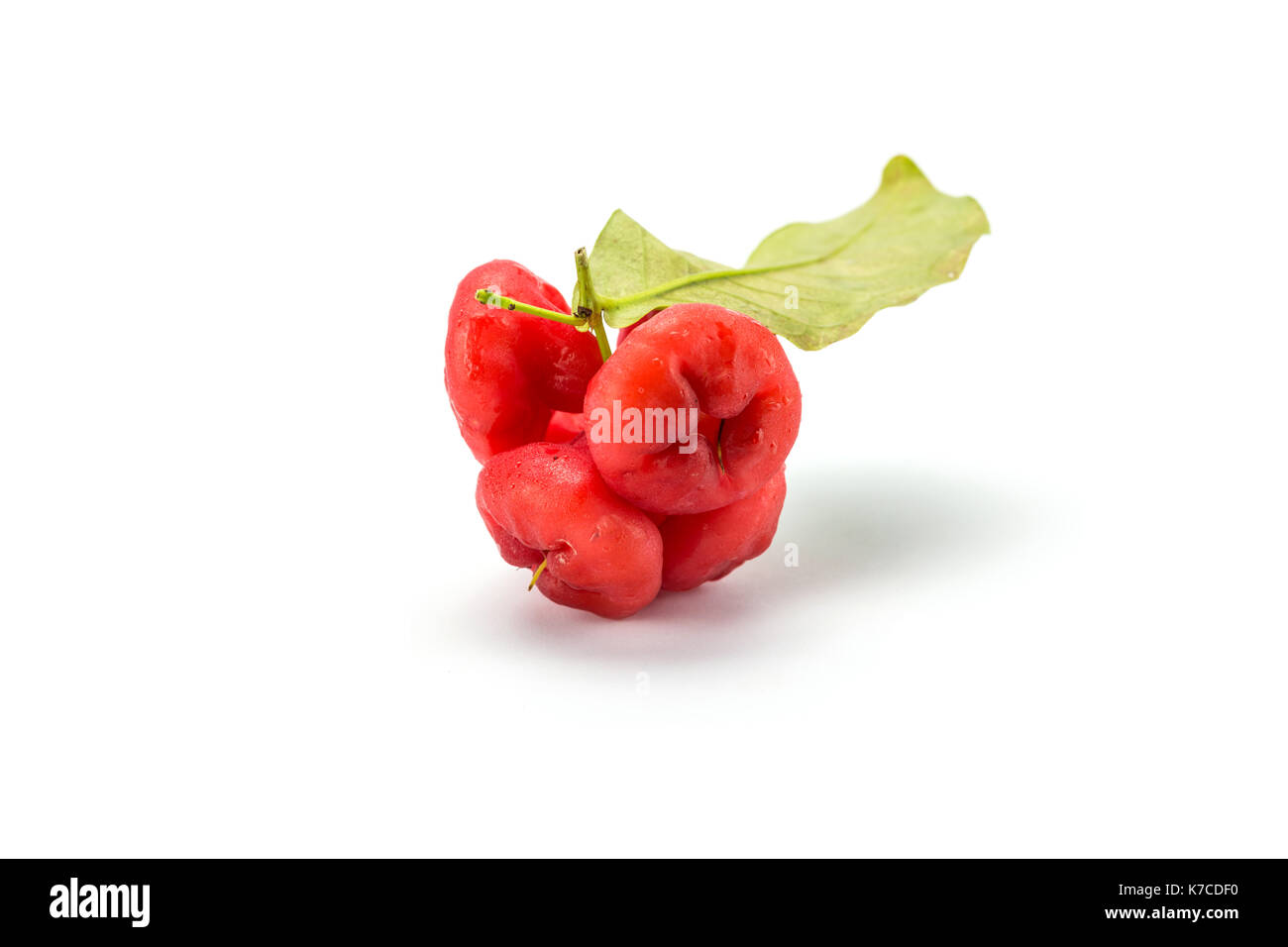 Apple Rose isolé sur le fond blanc. Banque D'Images