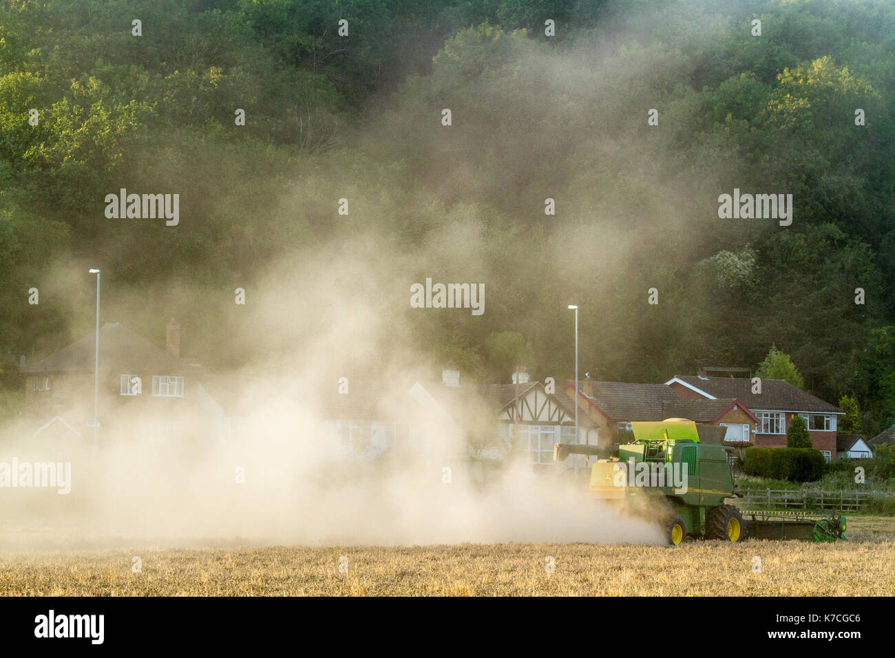 Les questions de l'environnement rural. La pollution de l'air à la campagne. Moissonneuse-batteuse, entraînant la poussière de grain de blé près de l'habitation, Lancashire, England, UK Banque D'Images