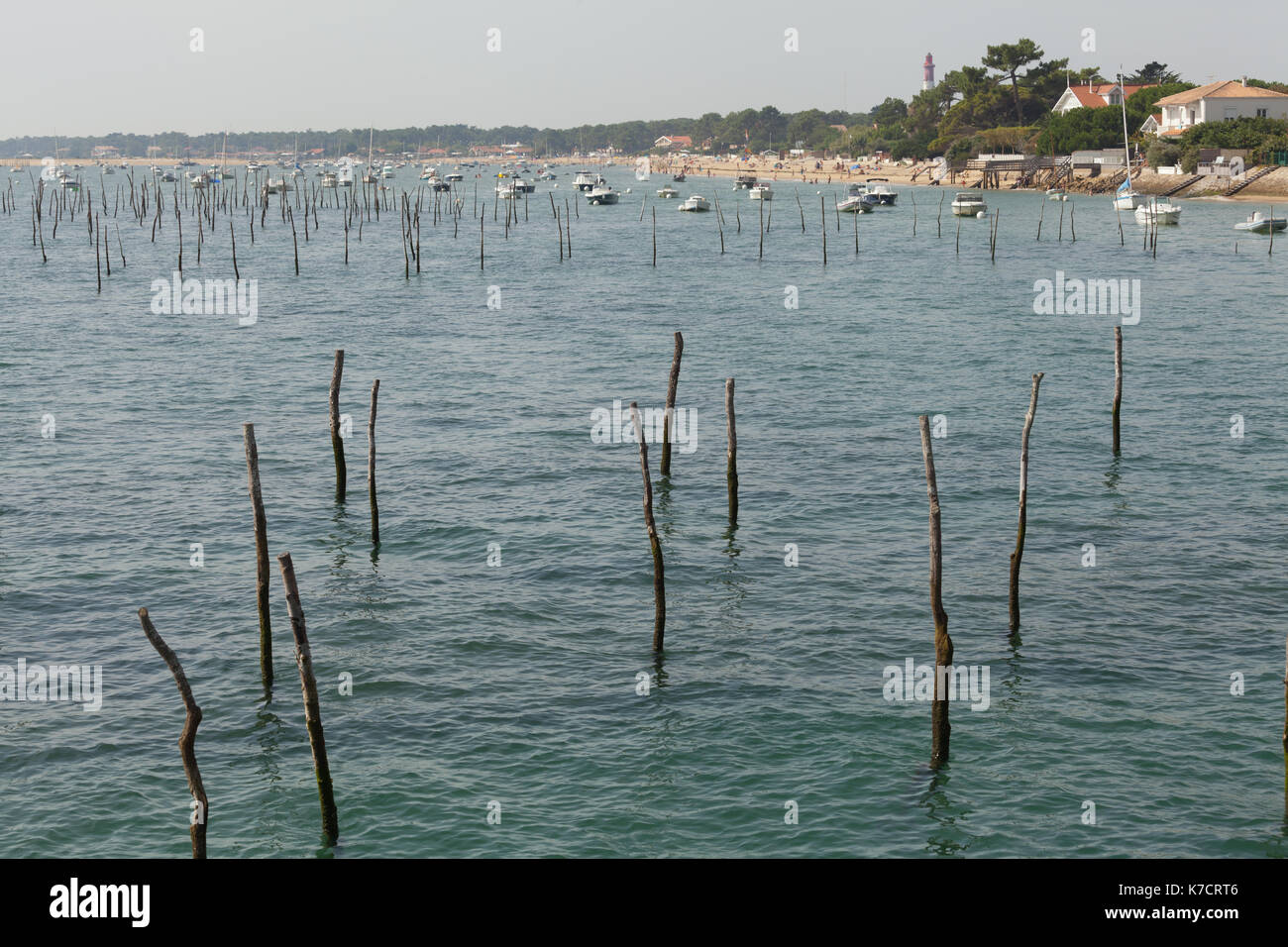 Bassin d'Arcachon, Arcachon, France. Banque D'Images