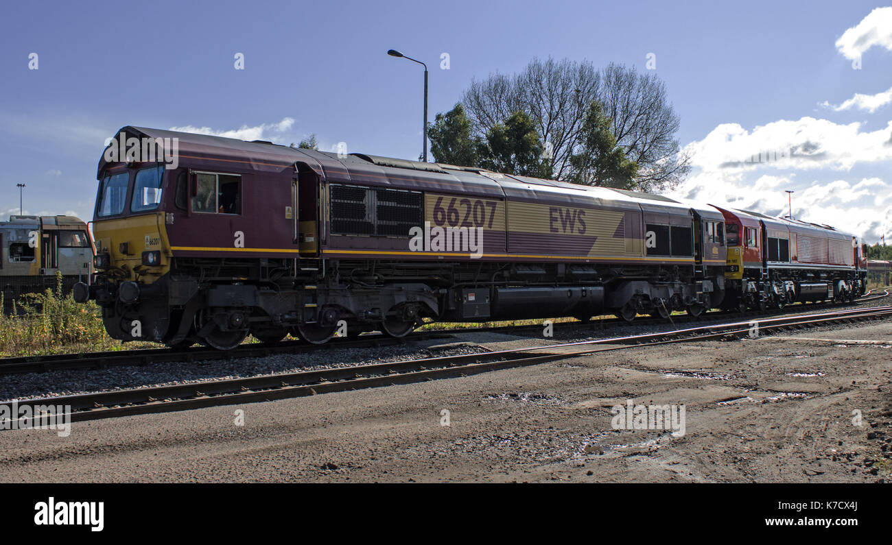 La TMD (toton notts) Banque D'Images