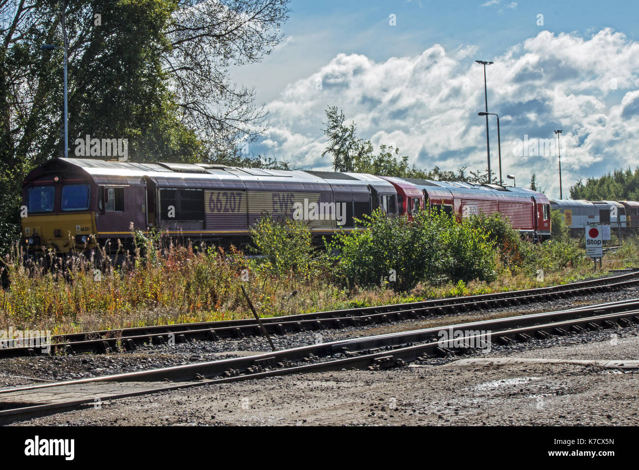La TMD (toton notts) Banque D'Images