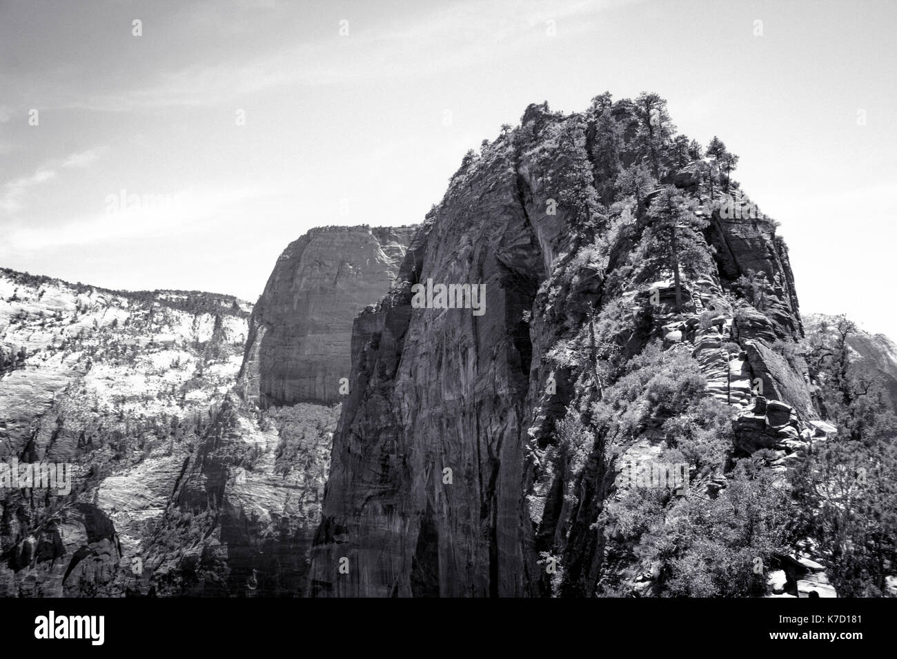 A 1 500 pieds de l'incroyable ascension jusqu' à 'angels landing Zion National Park dans le Nevada. Banque D'Images