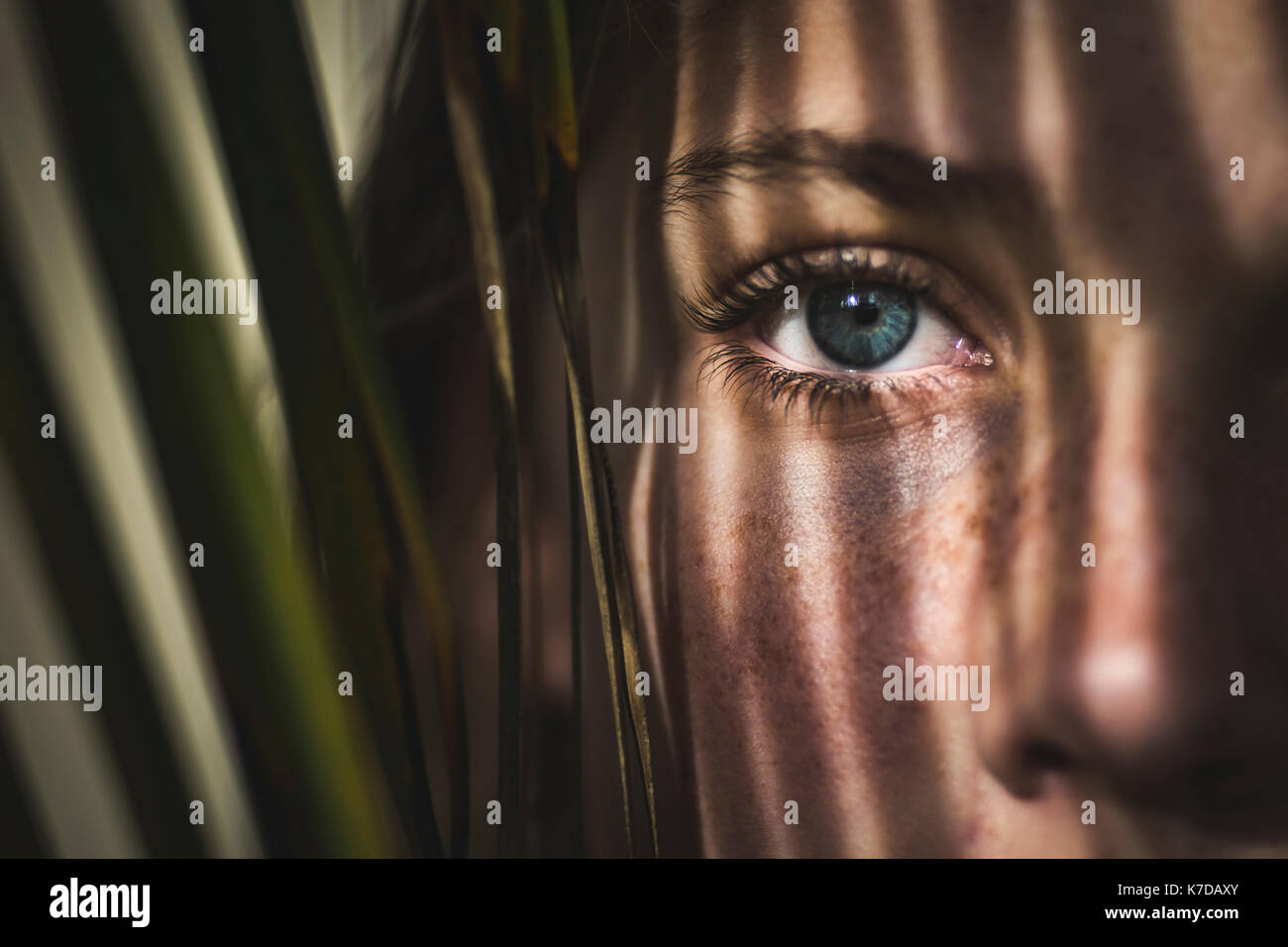 Close-up of girl's eye avec feuilles Banque D'Images