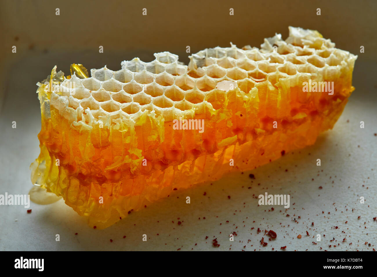 Détail texture macro d'abeille Miel Banque D'Images