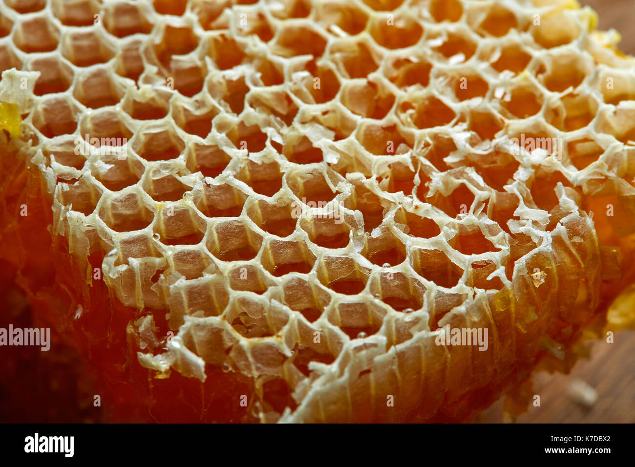 Détail texture macro d'abeille Miel Banque D'Images
