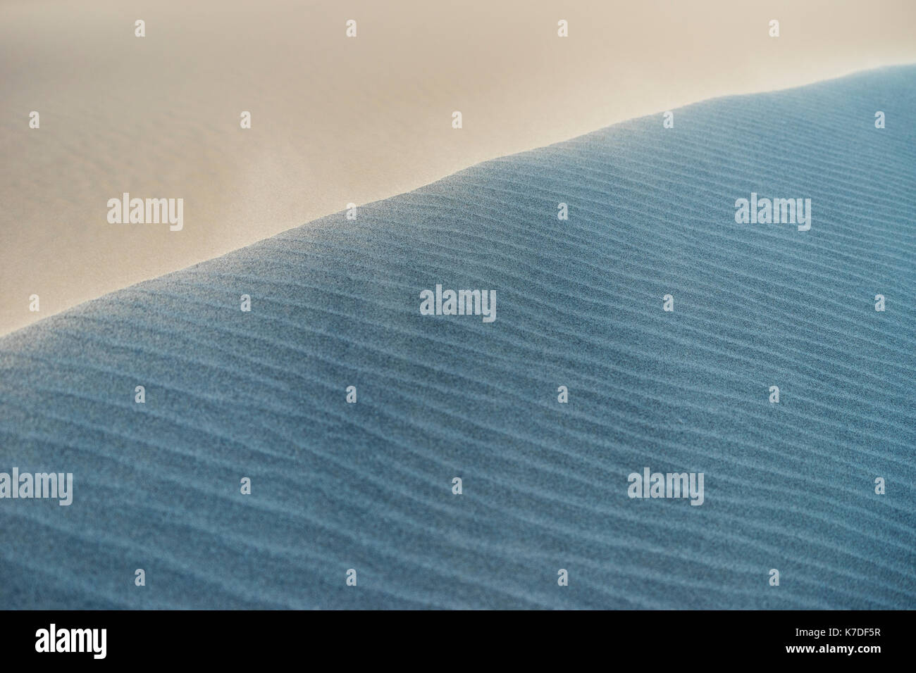 High angle view of natural pattern sur du sable dans le desert Banque D'Images