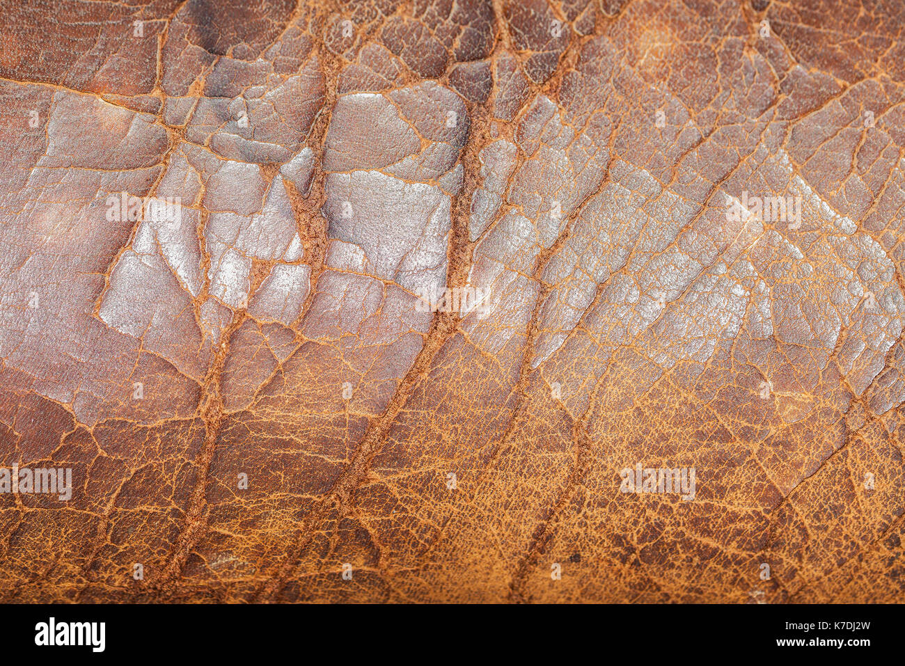 Tres Vieux Fauteuil En Cuir Craquele Texture Jpg Banque D Images