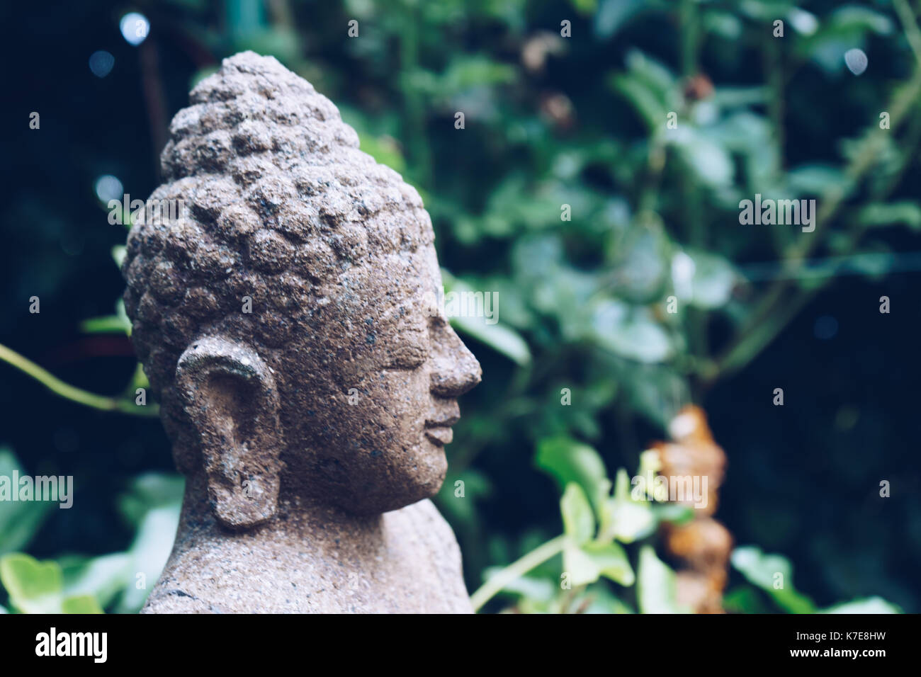 Sculpture de Bouddha sur la nature verte Banque D'Images
