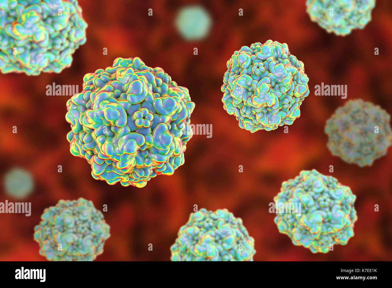 Canine Parvovirus Banque De Photographies Et D Images A Haute Resolution Alamy