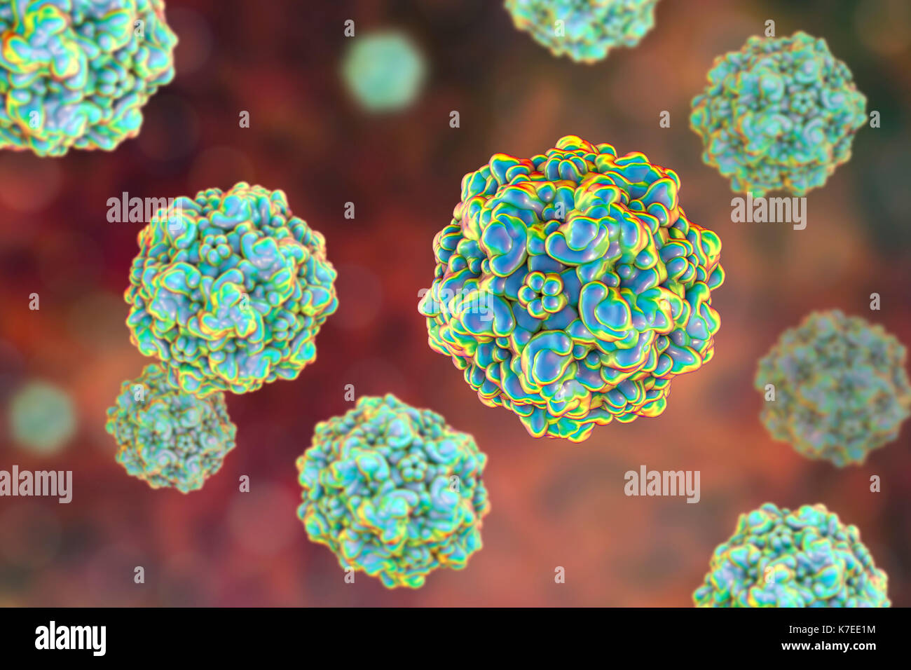 Canine Parvovirus Banque De Photographies Et D Images A Haute Resolution Alamy