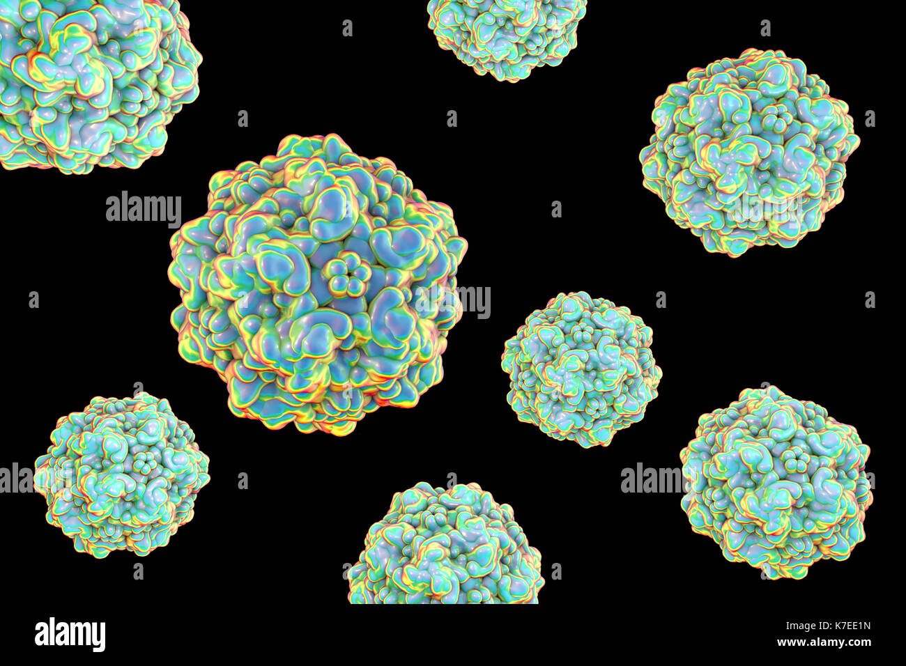 Canine Parvovirus Banque De Photographies Et D Images A Haute Resolution Alamy
