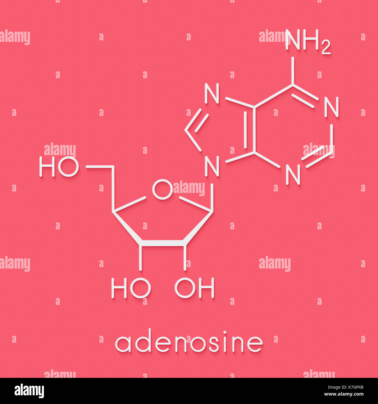 L'adénosine (Ado) de la purine nucléoside molécule. composante importante de l'ATP, ADP, camp et de l'arn. Également utilisé comme médicament. formule topologique. Banque D'Images