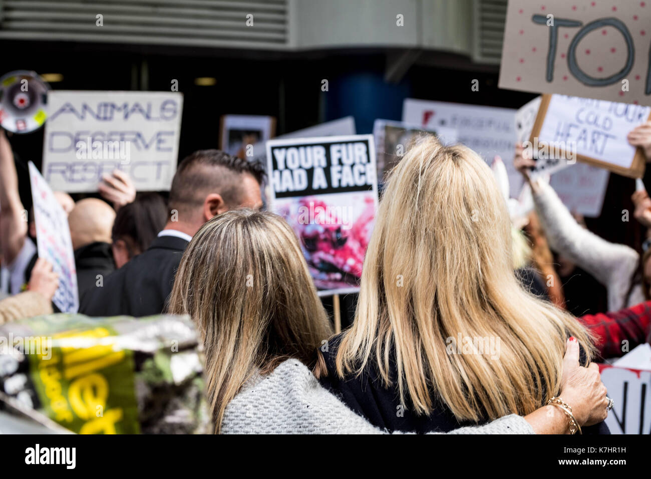 Londres 16 septembre 2017, le piquetage des manifestants anti fourrure Gareth Pugh lfw17 présentation à la bfi imaz au milieu de scènes chotic, le personnel de sécurité et les organisateurs vous escorté par la protestation crédit : Ian Davidson/Alamy live news Banque D'Images