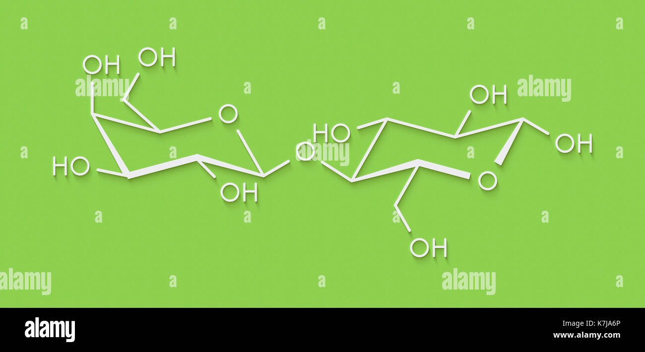 Molécule de sucre lait lactose. formule topologique. Banque D'Images