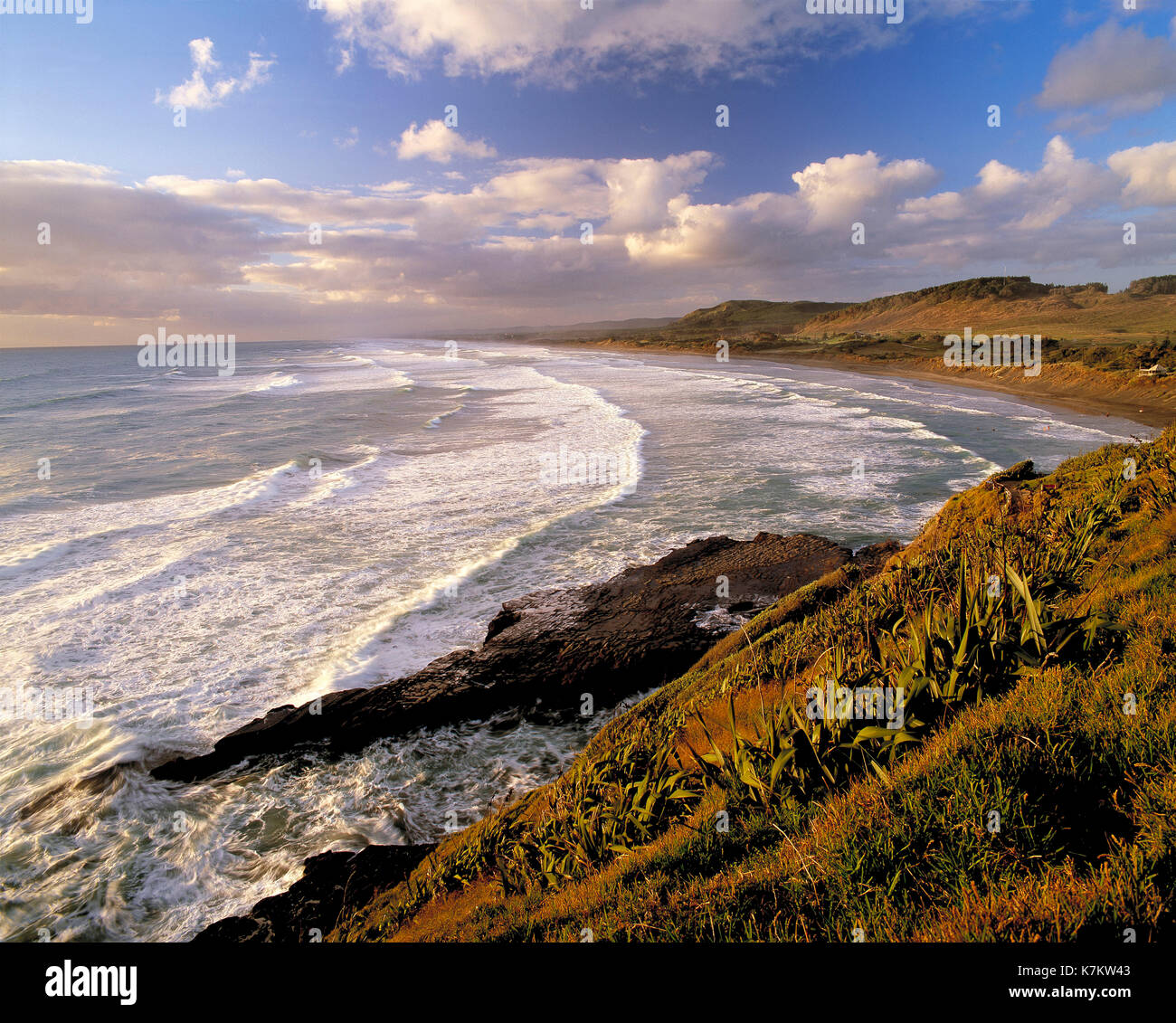La Nouvelle-Zélande. L'Île du Nord. Région d'Auckland. Muriwai Beach. Banque D'Images
