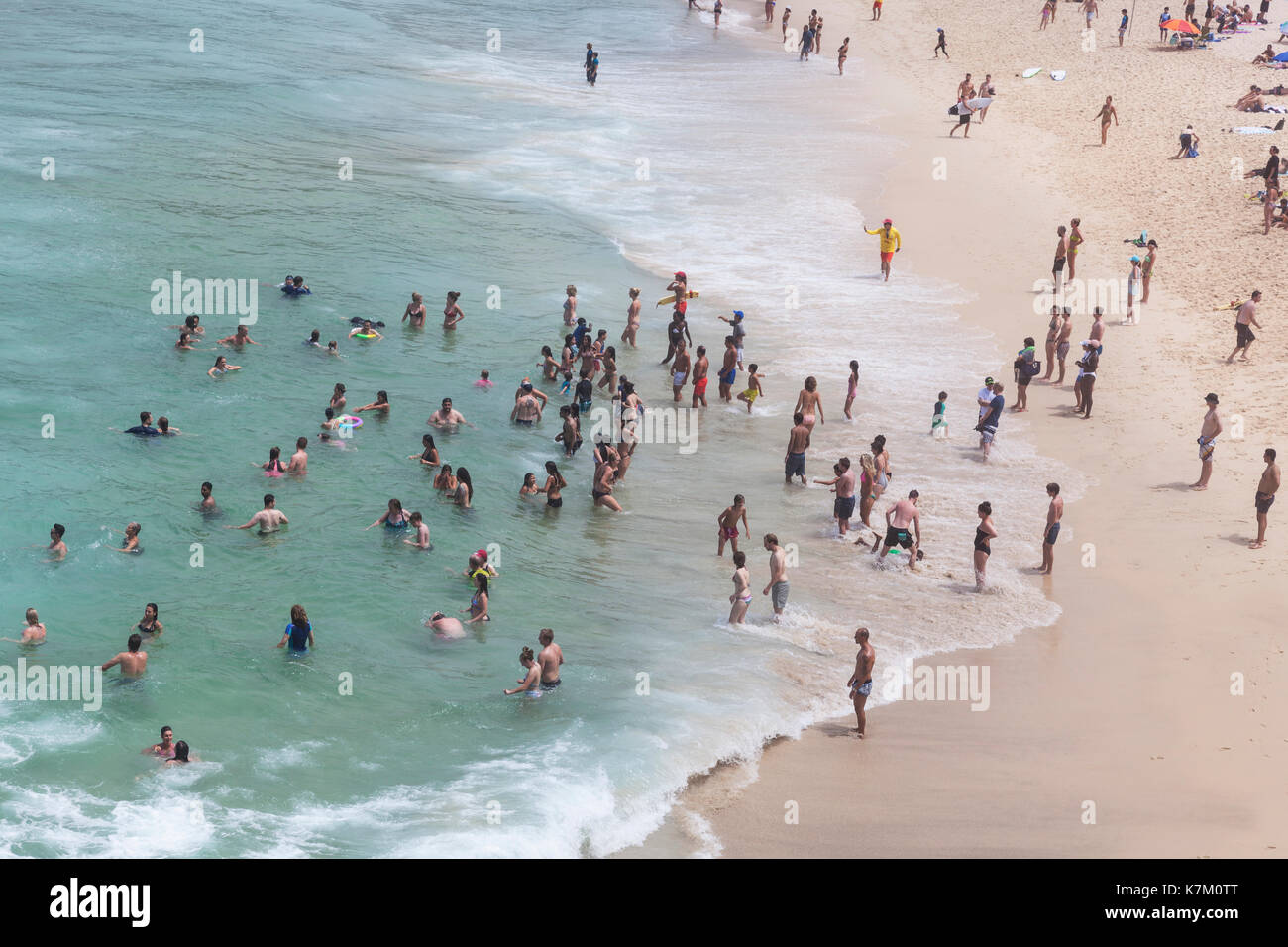 Vue aérienne de personnes nager dans la mer, Sydney, Australie Banque D'Images