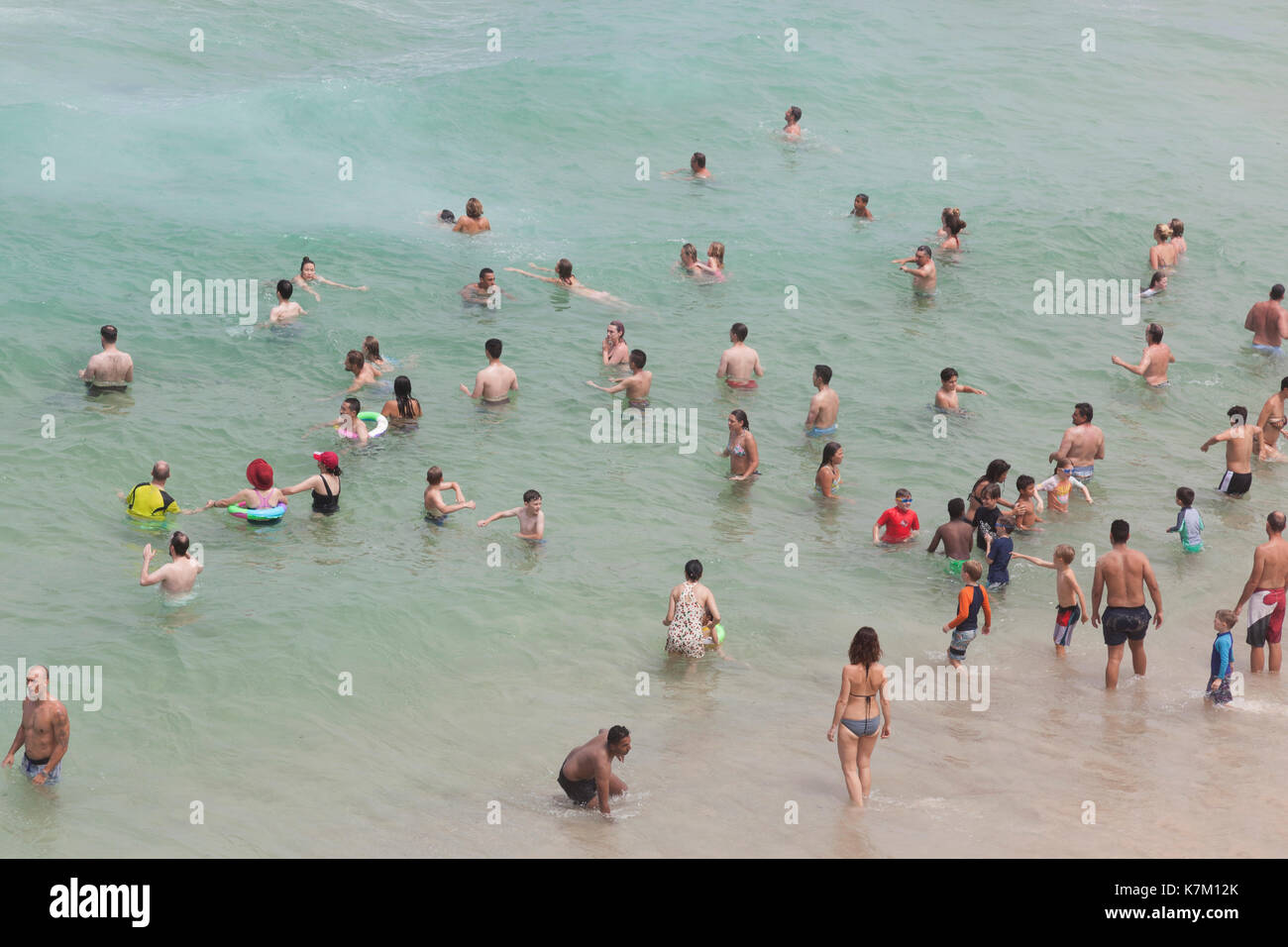 Vue aérienne de personnes nager dans la mer, Sydney, Australie Banque D'Images