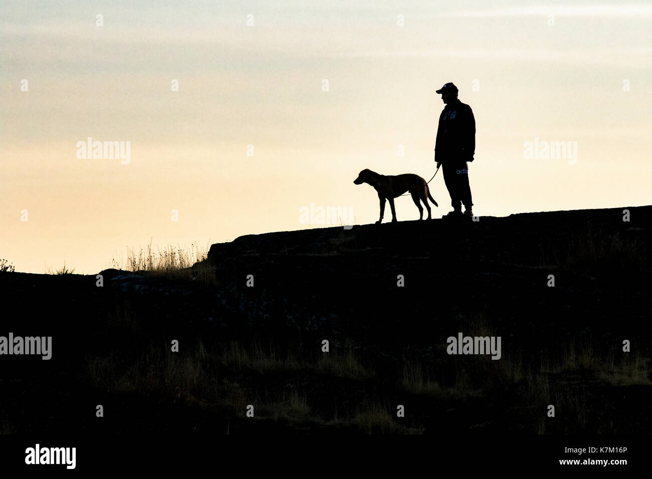 Silhouette d'un homme et son chien au point de bétail, le parc Uplands, Oak Bay, Victoria, île de Vancouver, Colombie-Britannique, Canada Banque D'Images