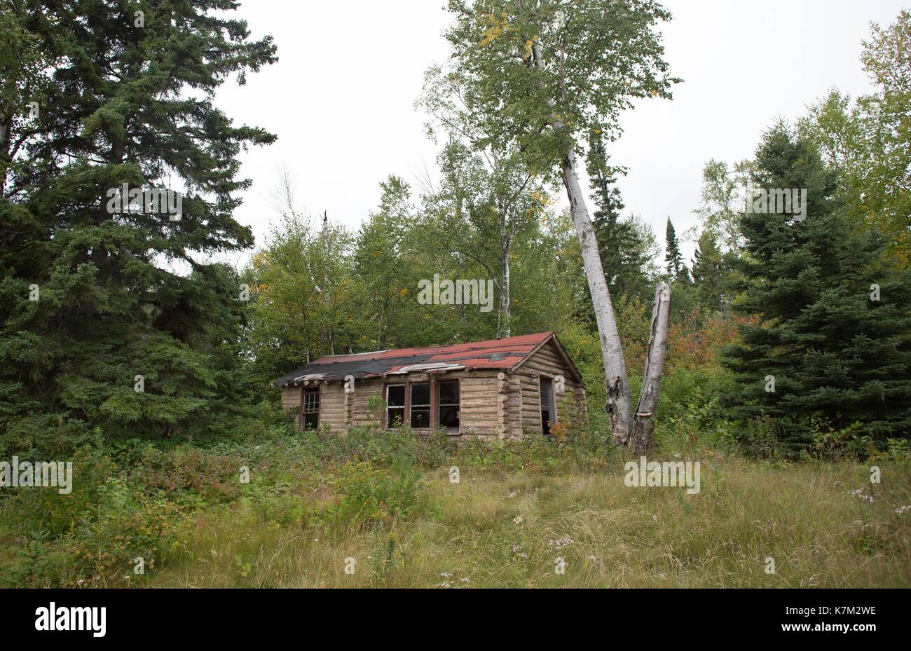 Une vieille cabane abandonnée près de Schroeder, Minnesota, USA. Banque D'Images