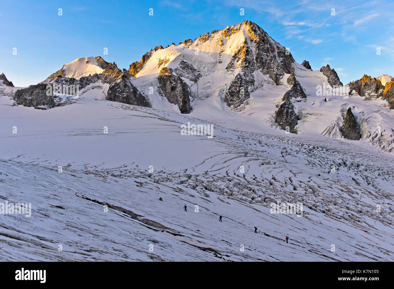 Pointe de l'aiguille du Chardonnet dans la matinée, sous la lumière du glacier enneigé du Tour, Chamonix, Savoie, France Banque D'Images