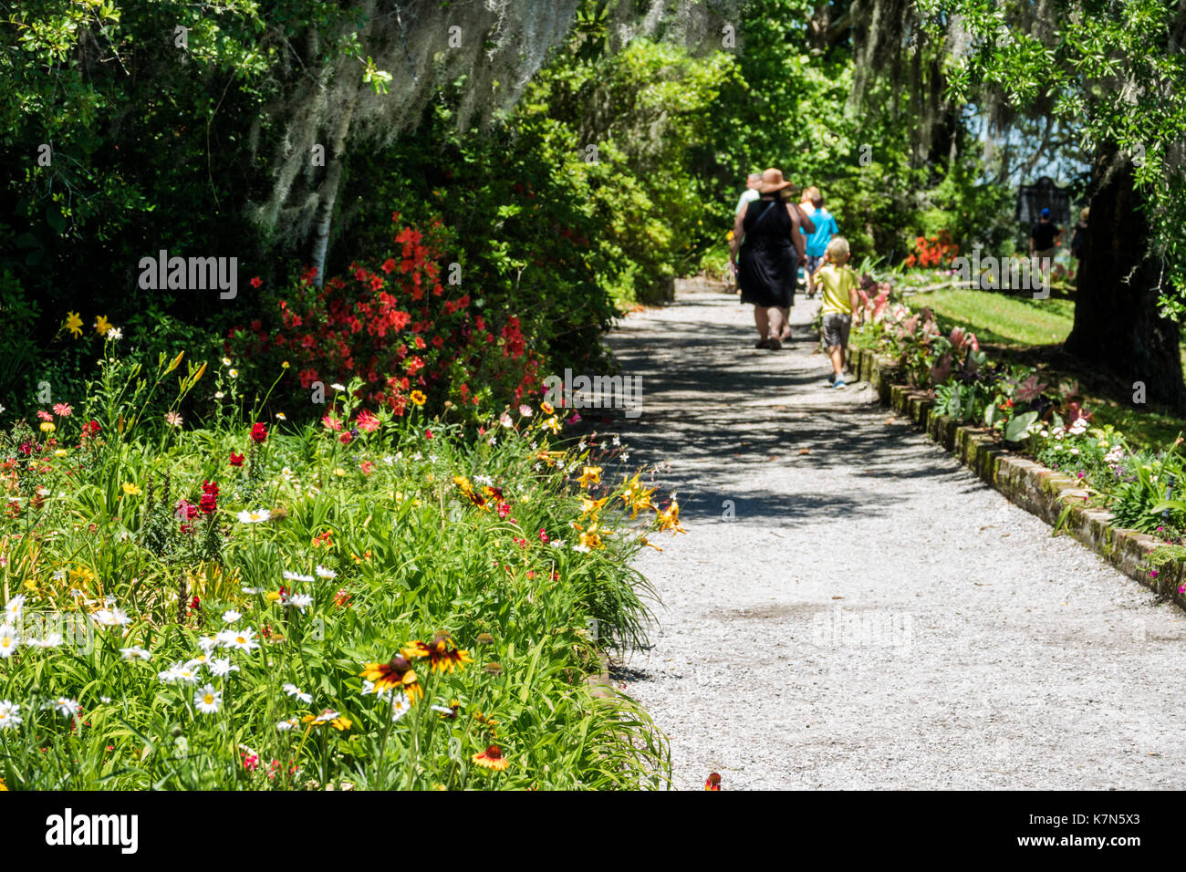 Caroline du Sud, Ashley River, Charleston, Magnolia Plantation & Gardens, Antebellum, sentier de randonnée, lit de fleurs, SC170514213 Banque D'Images