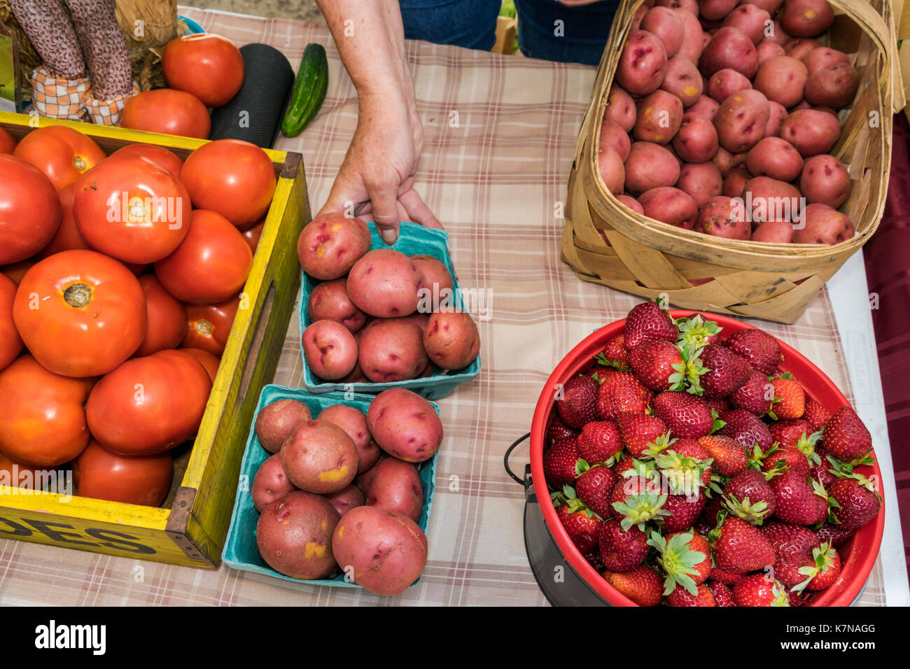 Caroline du Sud,North Myrtle Beach,Little River Farmers Market,fruits,légumes,pommes de terre,fraises,tomates,SC170516187 Banque D'Images