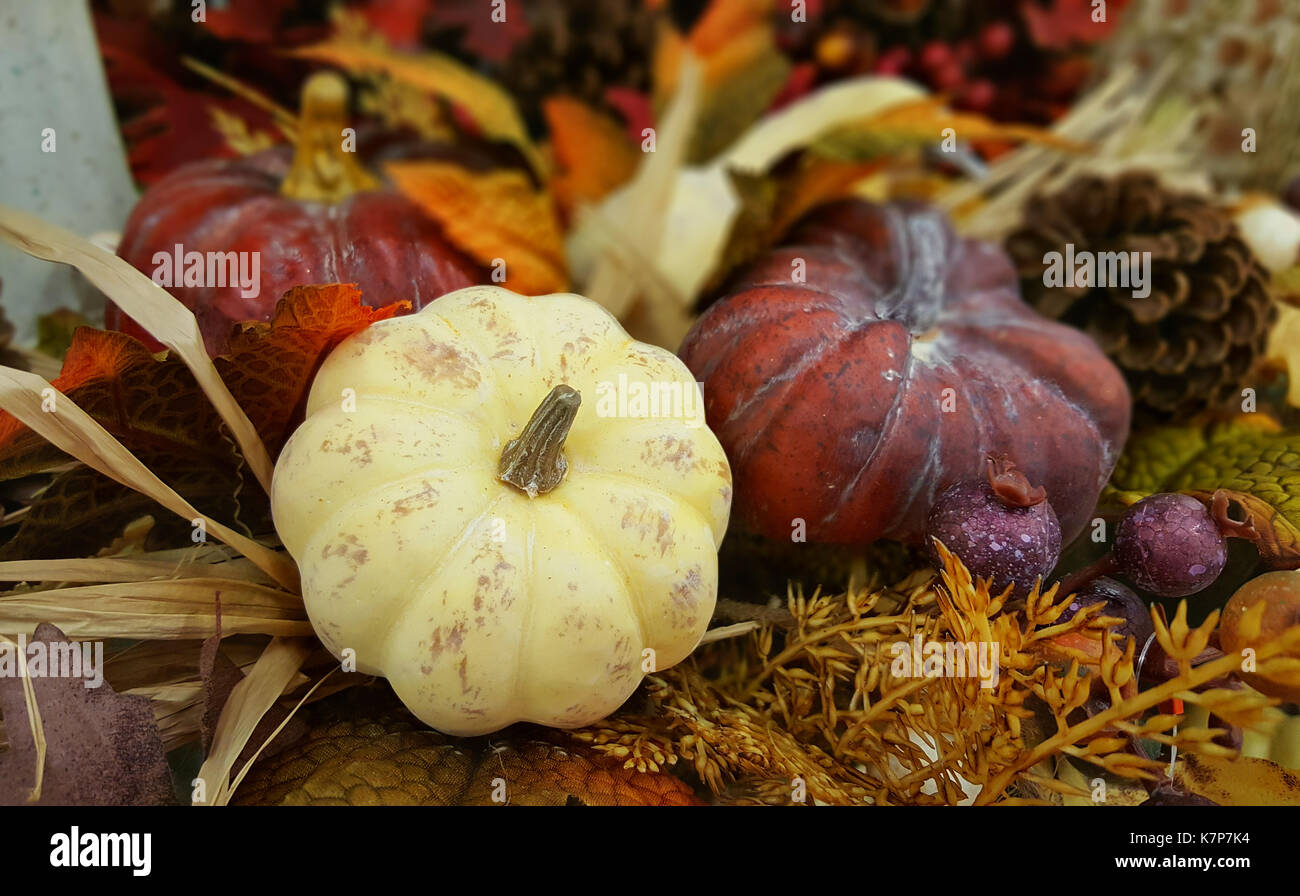 Action de grâce et l'halloween décoration avec trois citrouilles. Automne. fond naturel. Banque D'Images