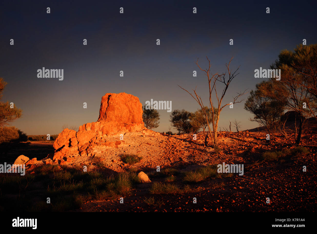 Bladensberg parc national, Winton, l'ouest du Queensland Banque D'Images