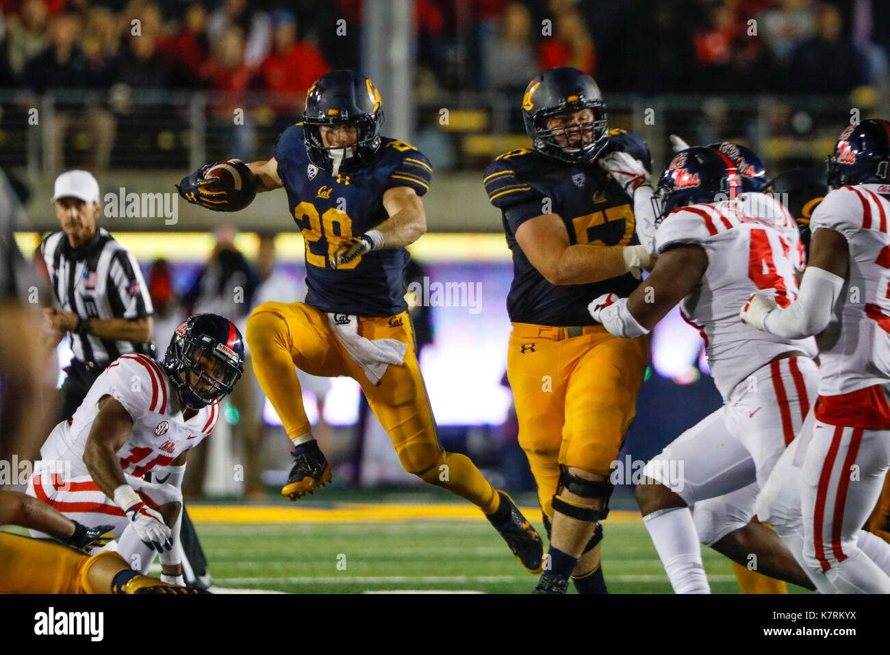 Berkeley, Californie, USA. 16 Sep, 2017. Cal RB Patrick Laird passe par un grand trou dans NCAA football action à UC Berkeley California Memorial Stadium, avec la visite des rebelles Ole Miss California Golden Bears. La Californie a gagné le match, 27-16. Credit : Seth Riskin/ZUMA/Alamy Fil Live News Banque D'Images