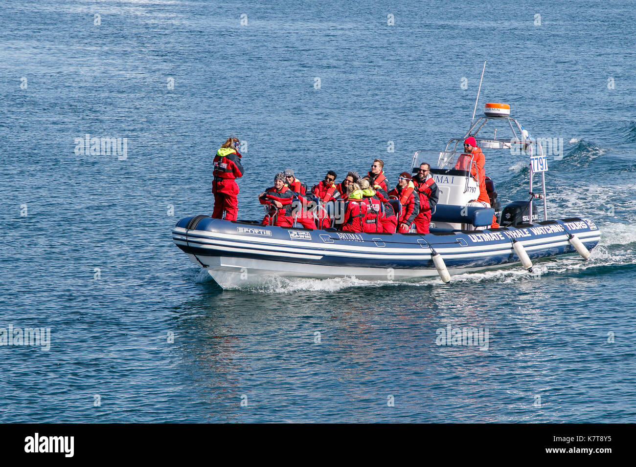 Les touristes sont de retour à port depuis une tour d'observation des baleines sur un petit bateau de vitesse. Banque D'Images