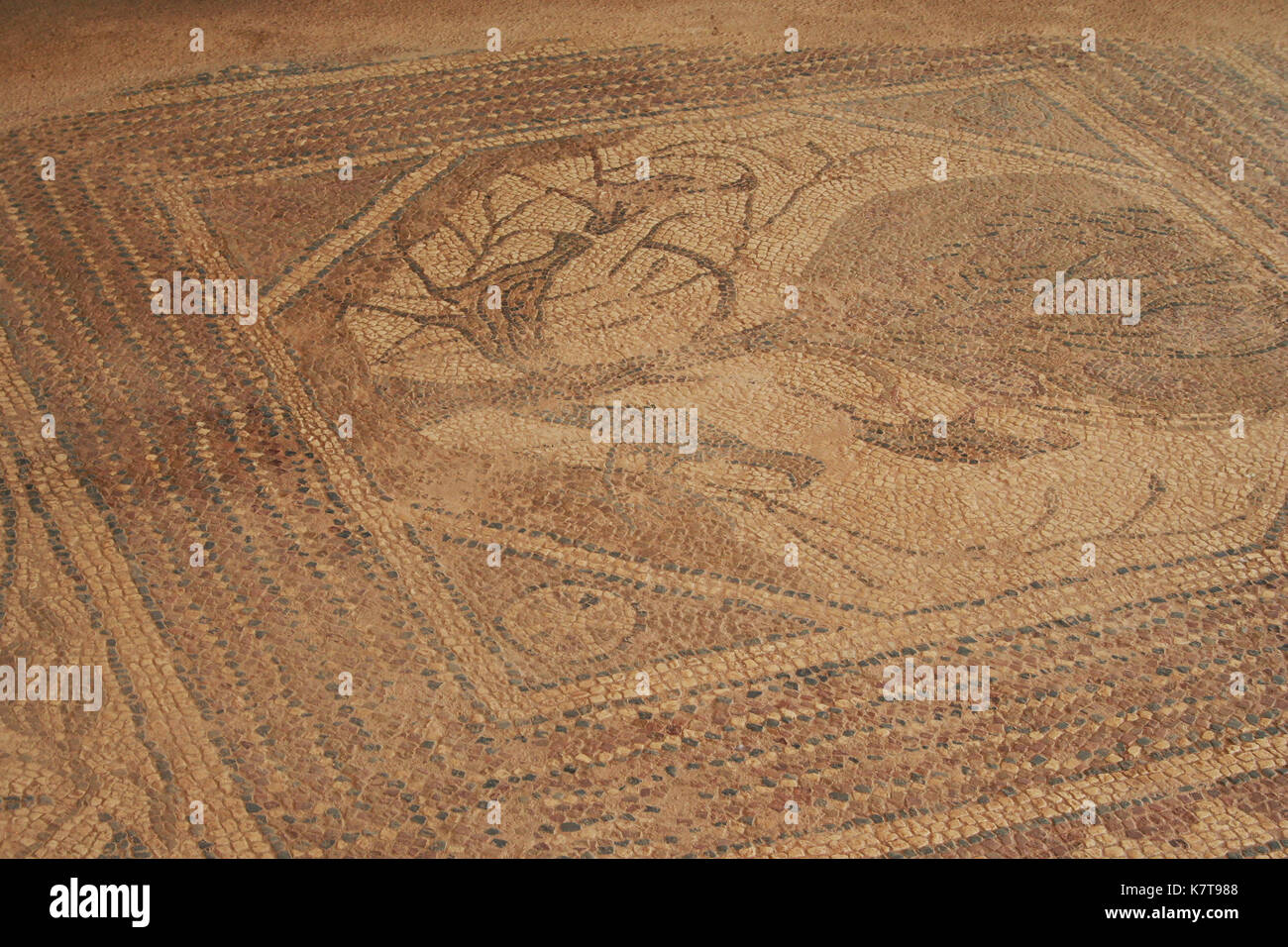 Site archéologique de Philippi. Cette partie du creusage provient de la région connue sous le nom de maison de l'évêque. Philippi a été visité par l'Apôtre Paul dans la Bible. Banque D'Images