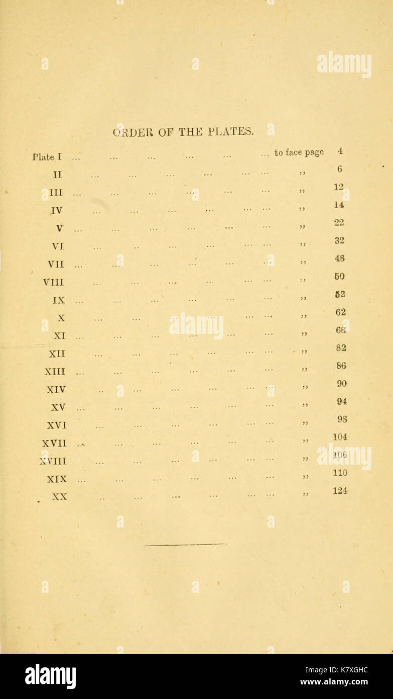 Serpents indiens BHL4390466 Banque D'Images