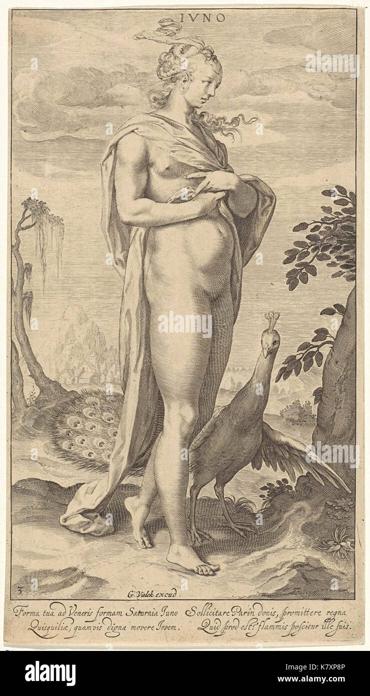 Pauw rencontré Juno Banque D'Images