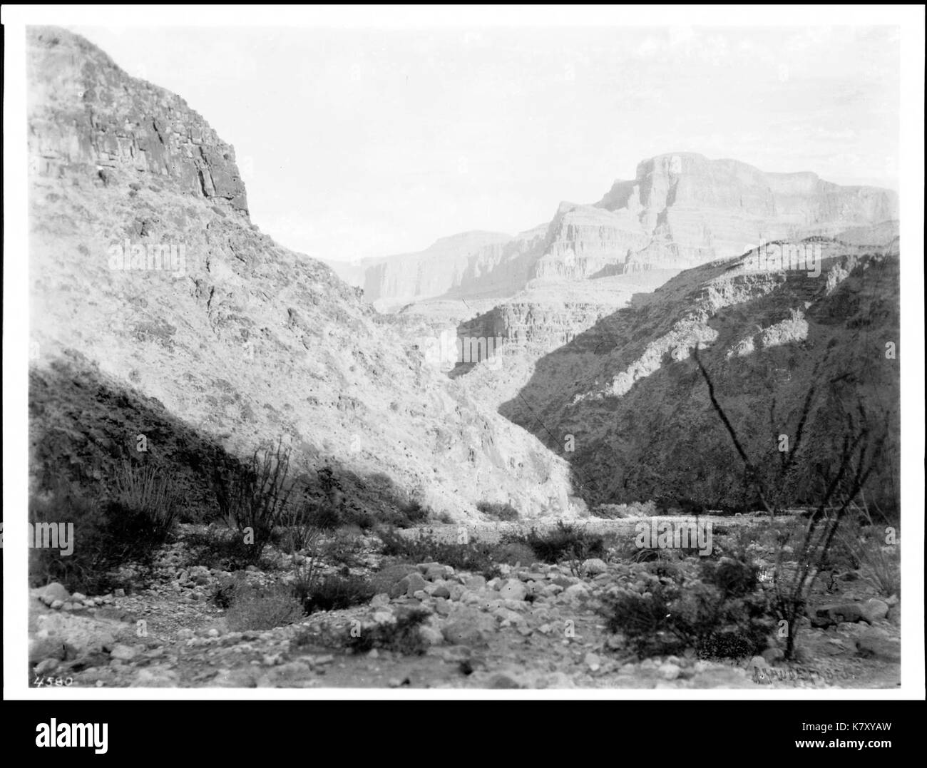 Dans le Grand Canyon près de Peach Springs, Arizona, ca.1900 (4580) du SHC Banque D'Images